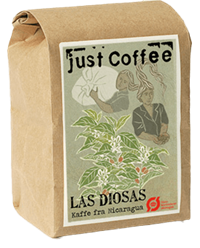 las_diosas-om_kaffe_PNG