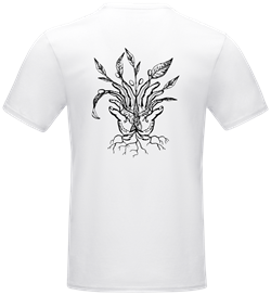design-20260820160