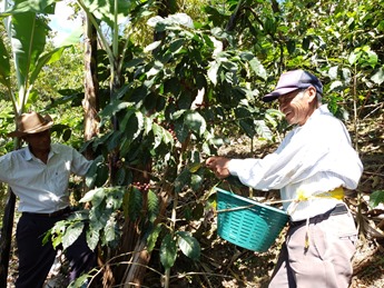 Arturo López Ramos_Guatemala (2)